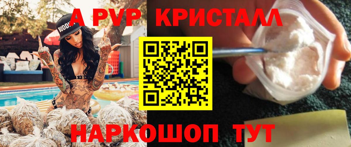 Альфа ПВП СК КРИС Ялта