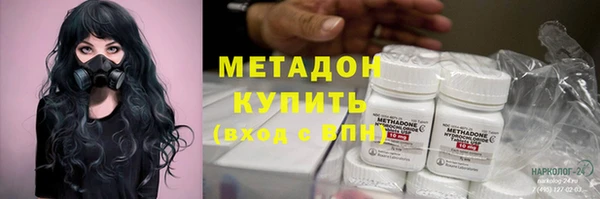 шишки Алзамай