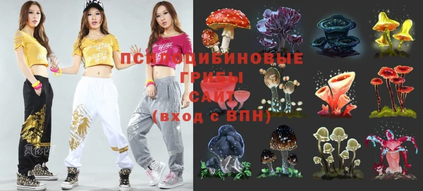 бошки Алексеевка