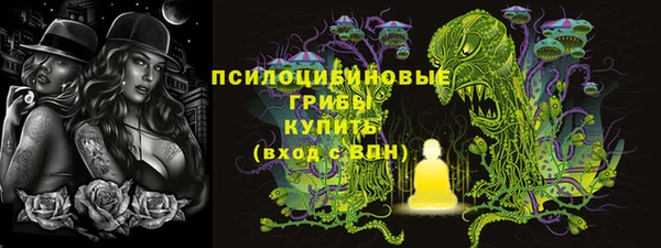 ГАЛЛЮЦИНОГЕННЫЕ ГРИБЫ Абаза