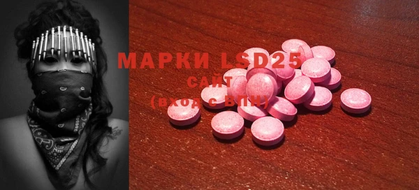 ГАЛЛЮЦИНОГЕННЫЕ ГРИБЫ Абаза