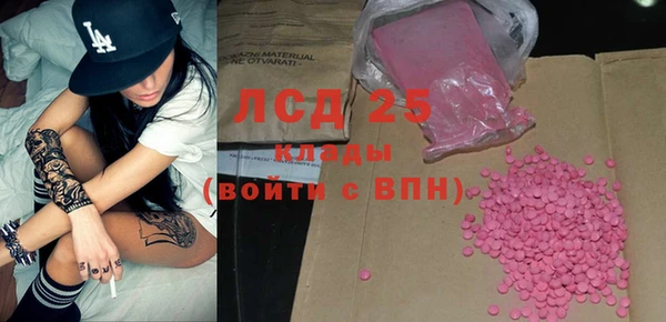 ГАЛЛЮЦИНОГЕННЫЕ ГРИБЫ Абаза