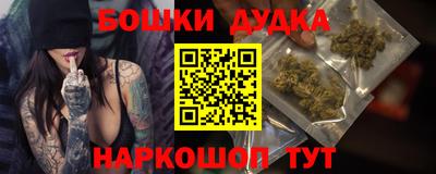 дмт Обь