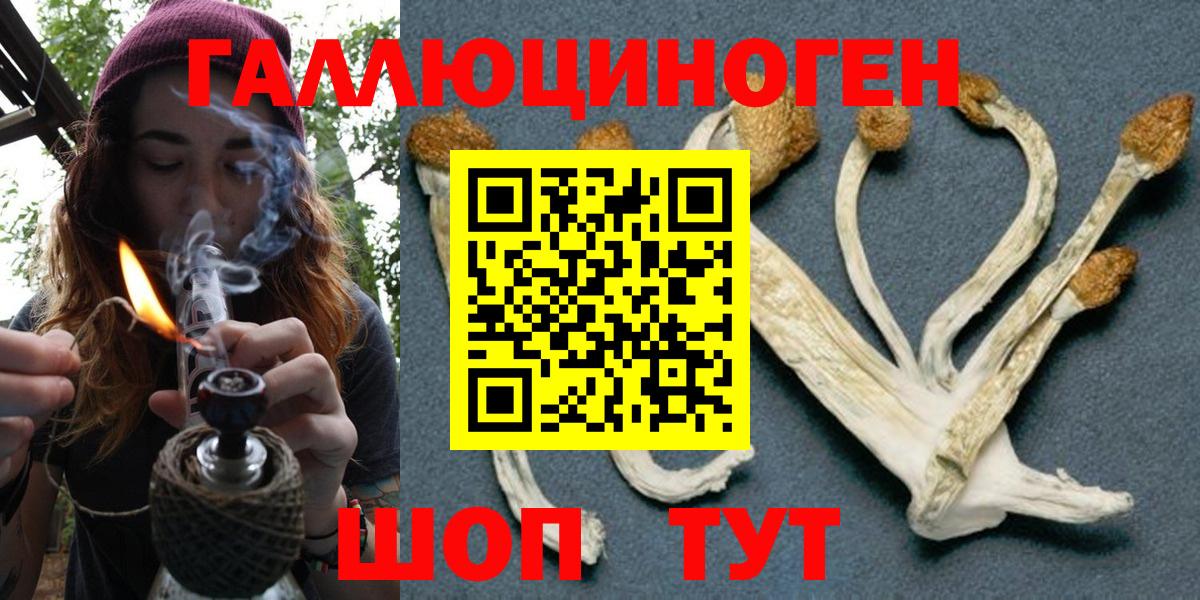 Галлюциногенные грибы Magic Shrooms Ялта