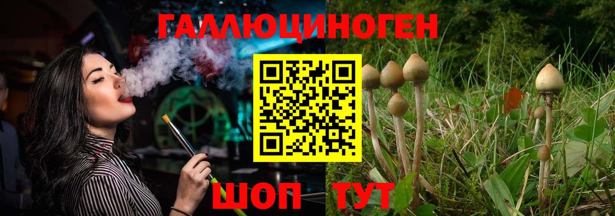 Галлюциногенные грибы MAGIC MUSHROOMS  Вход с VPN  Ялта  Псилоцибиновые грибы GOLDEN TEACHER 